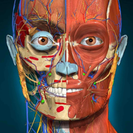 3d解剖学AnatomyLearning免费版v2.1.413完整版